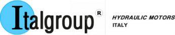 italgroup hydraulics logo