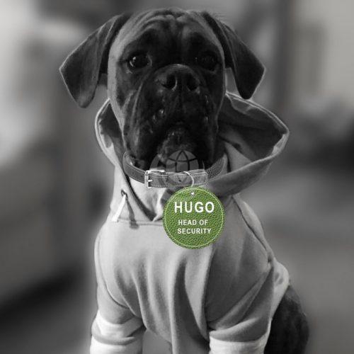 Hugo Tonks Head Of Security & Wellfare Hugo Tonks, Head Of Security