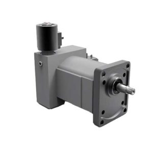 Ronzio Fan Drive Motor