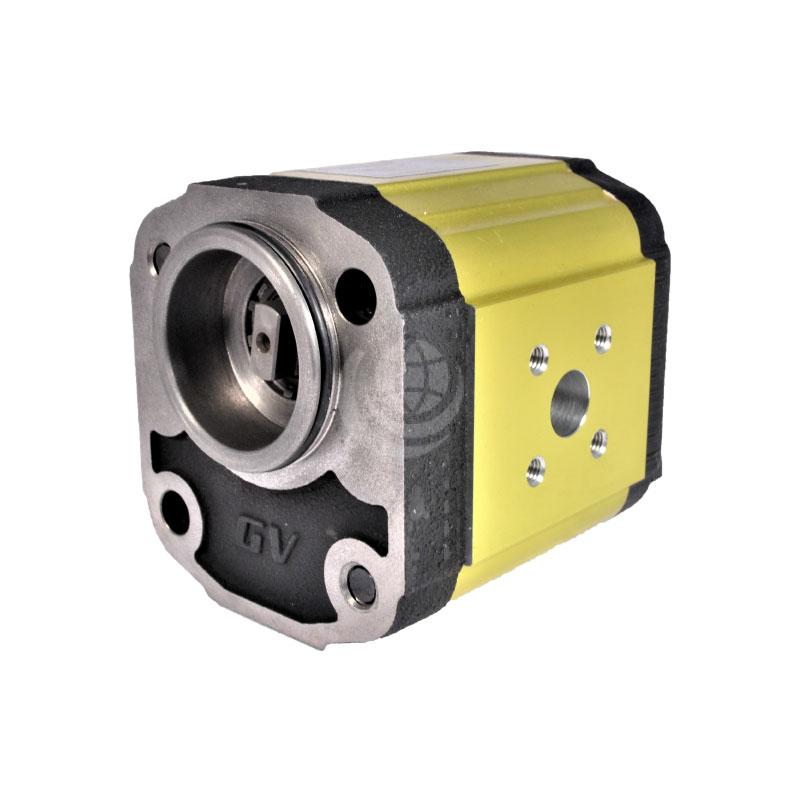 Vivolo Standard German External Gear Pump / Motor BH Ø52 Cast Iron Flange GP216