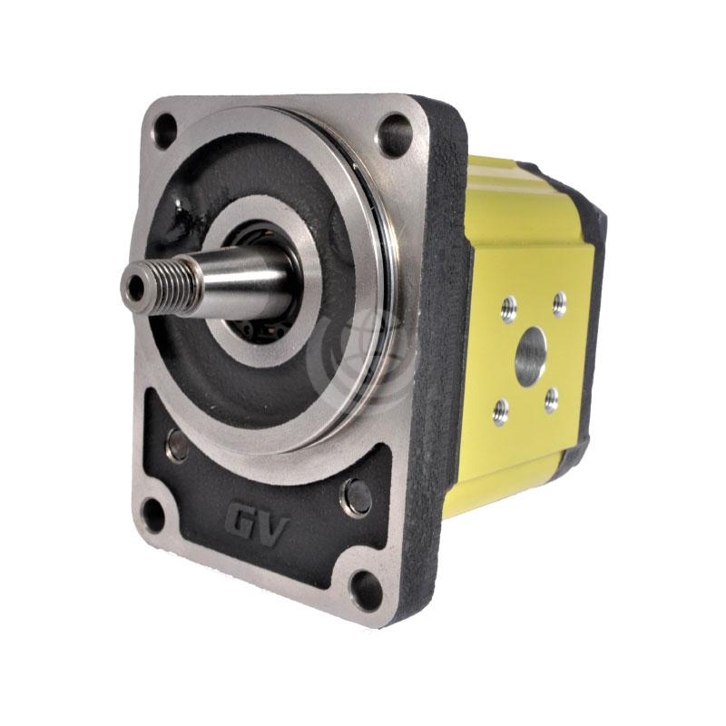 Vivolo Standard German External Gear Pump / Motor Ø80 Cast Iron Flange GP217