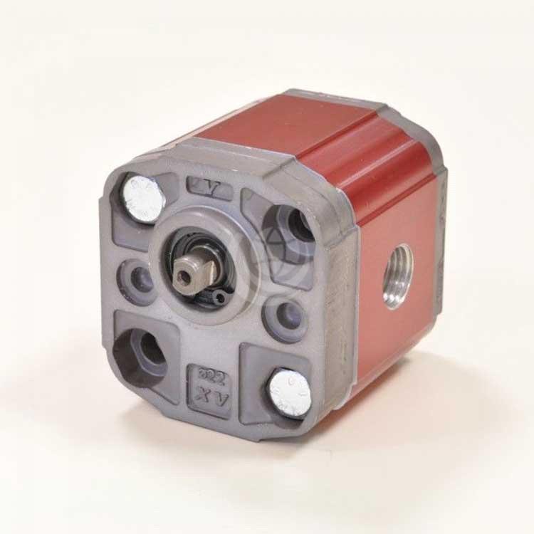 Vivolo External Gear Pump / Motor d22 BH Body-Shaped FLANGE - Group 0