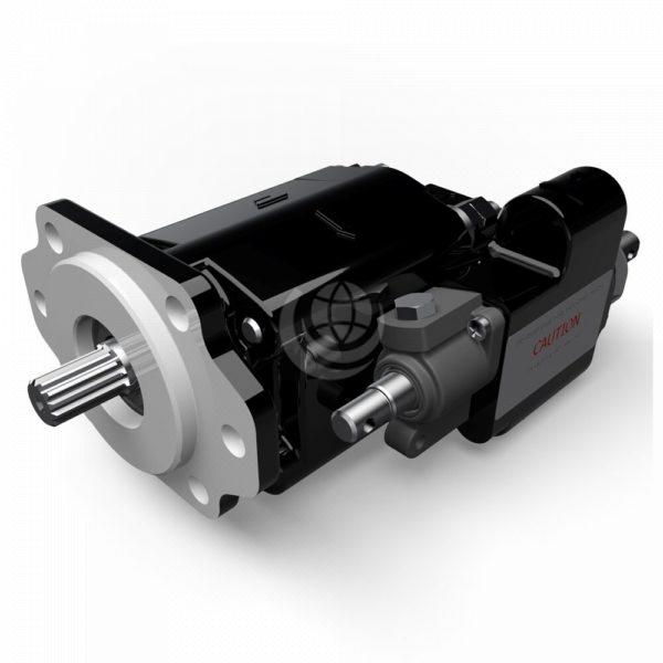 Parker G101 G102 Pump