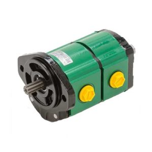 Salami 2PE Gear Pump Motor