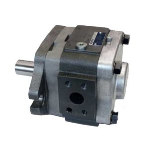 Voith-IPS-Gear Pump