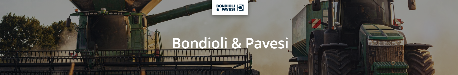 Bondioli & Pavesi Motors