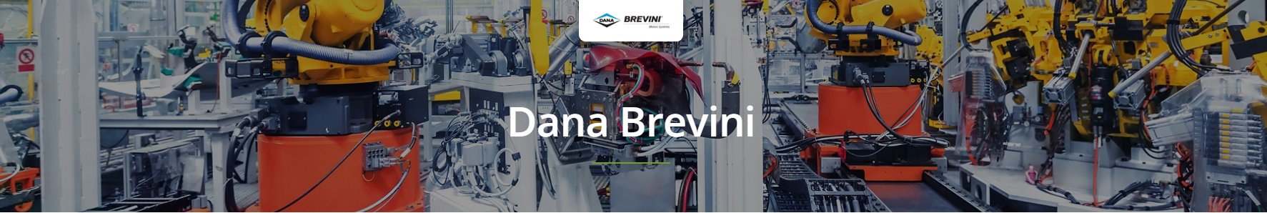 Dana Brevini Hydraulic Motors