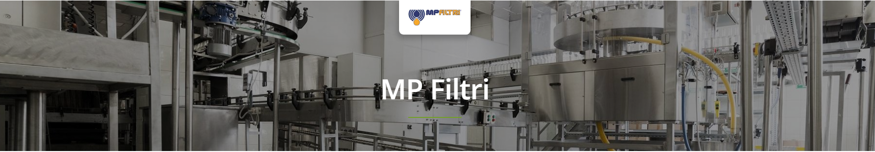 MP Filtri Stainless Steel Filters