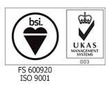 BSI Logo