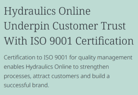 BSI Case Study Hydraulics Online