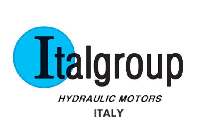 Italgroup Hydraulics Brand Logo on Hydraulics Online
