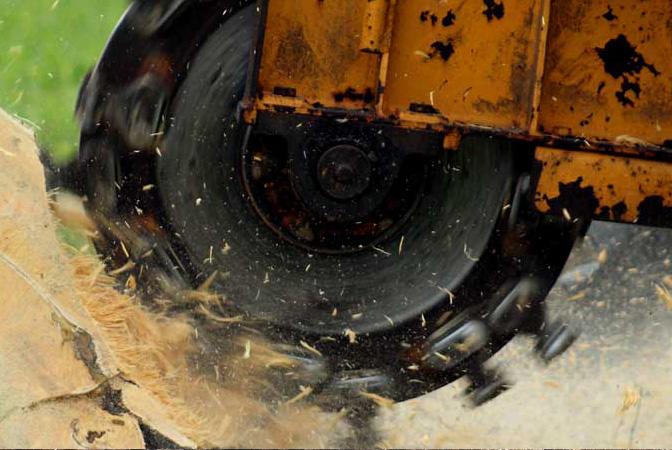Rayco stump cutter - Hydraulics Online News